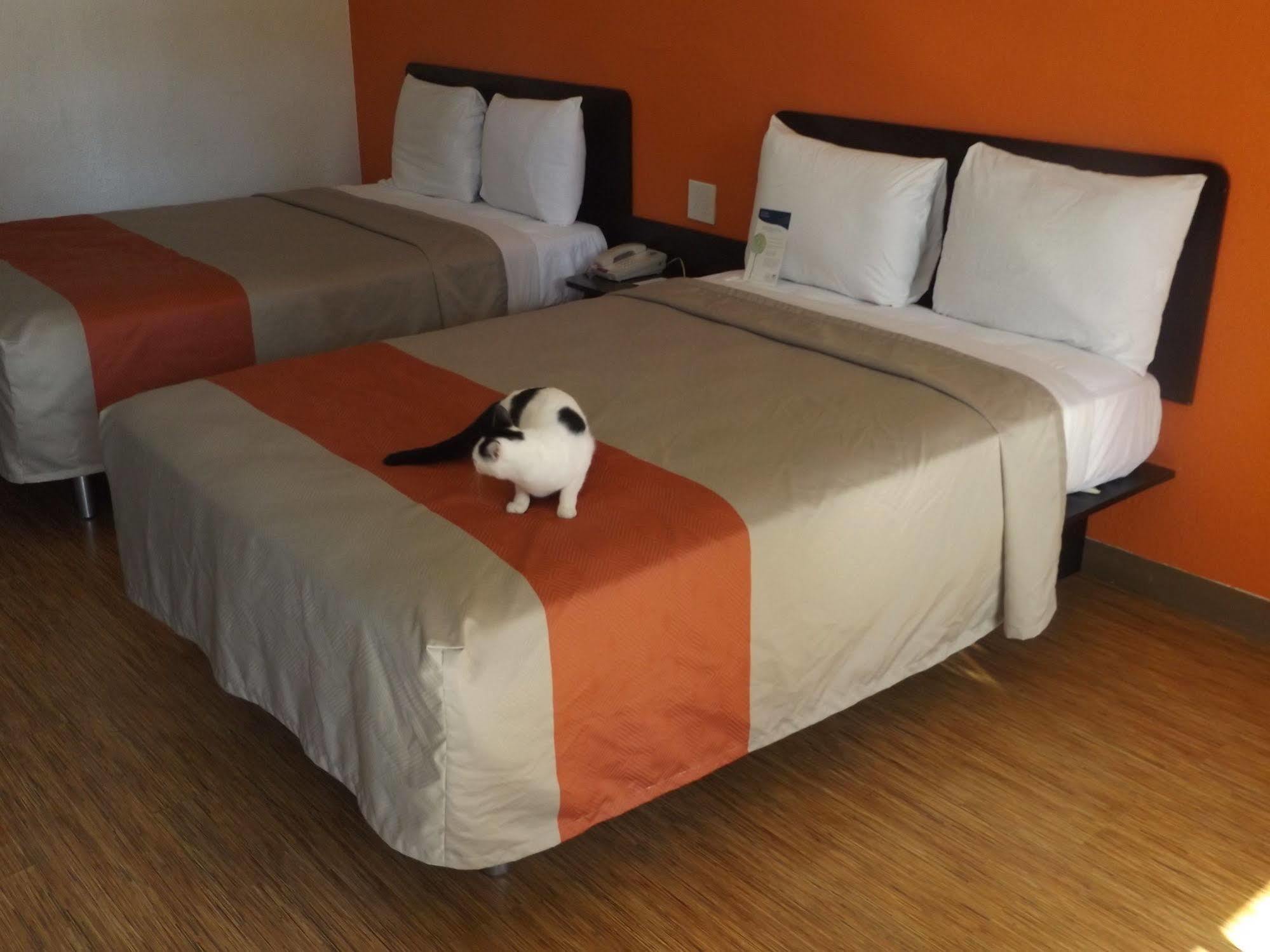Motel 6 Glendale Az Εξωτερικό φωτογραφία